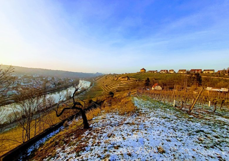 Newsletter aktueller Monat